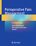 Image of the book cover for 'Perioperative Pain Management'