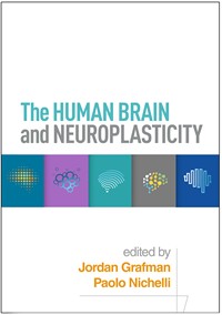 The Human Brain and Neuroplasticity