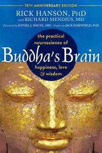 Image of the book cover for 'Buddha's Brain'